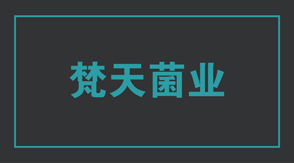 食品行业无锡梁溪区工作服设计款式